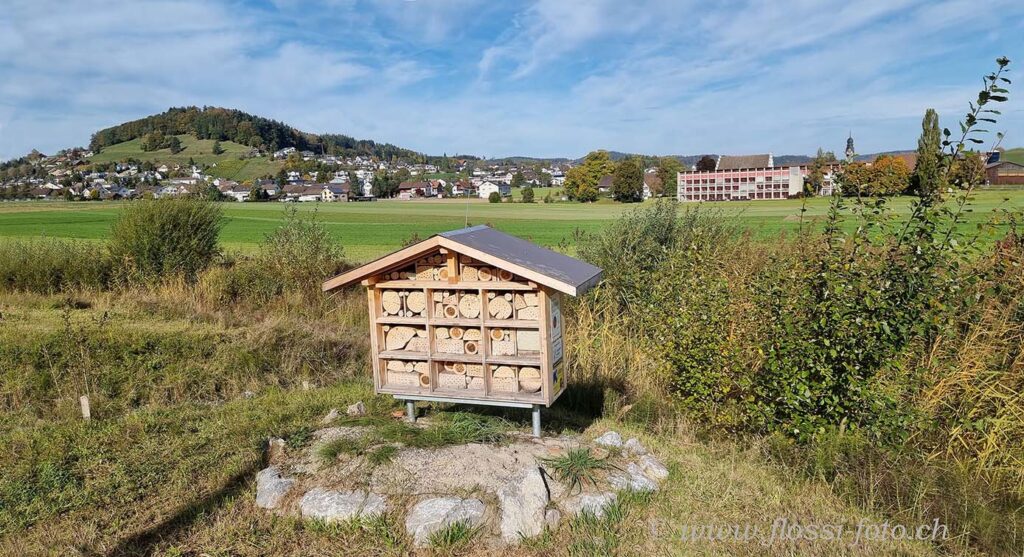 Wildbienenhaus am Haselbach