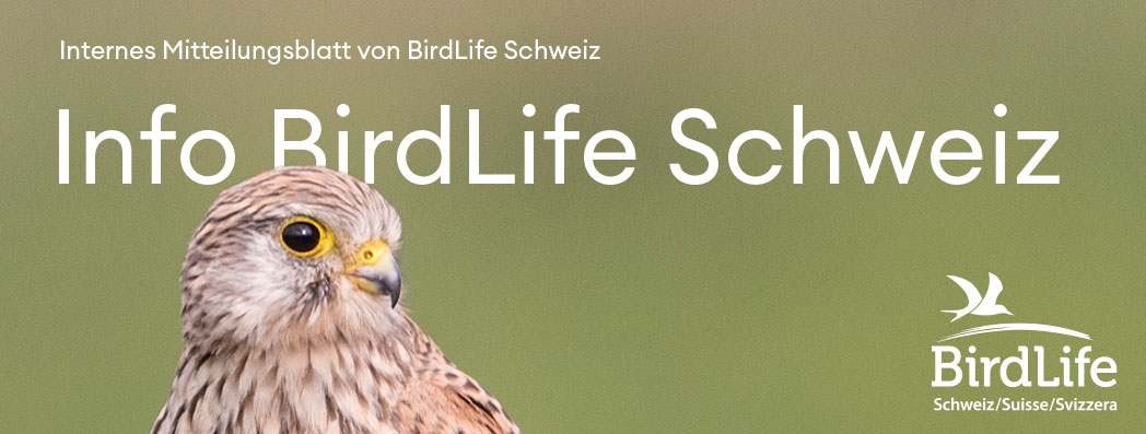 info_birdlife_schweiz
