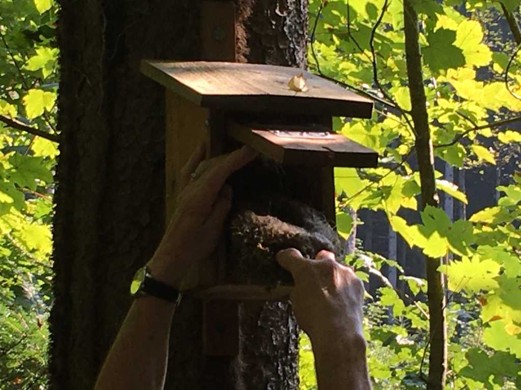 04_Sommerfest EfA 2023