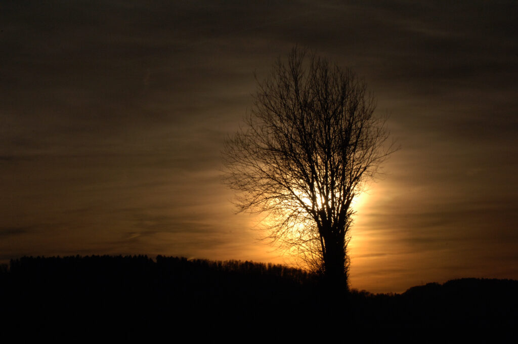 Sonnenuntergang (Wilfried Eggenberger)